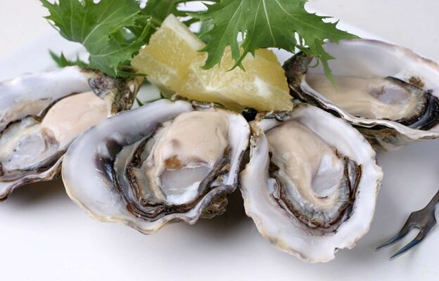 What Are the Different Types of Oysters - Restaurant Momo - Learn about ...